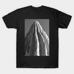 Saguaro in Black and White T-Shirt